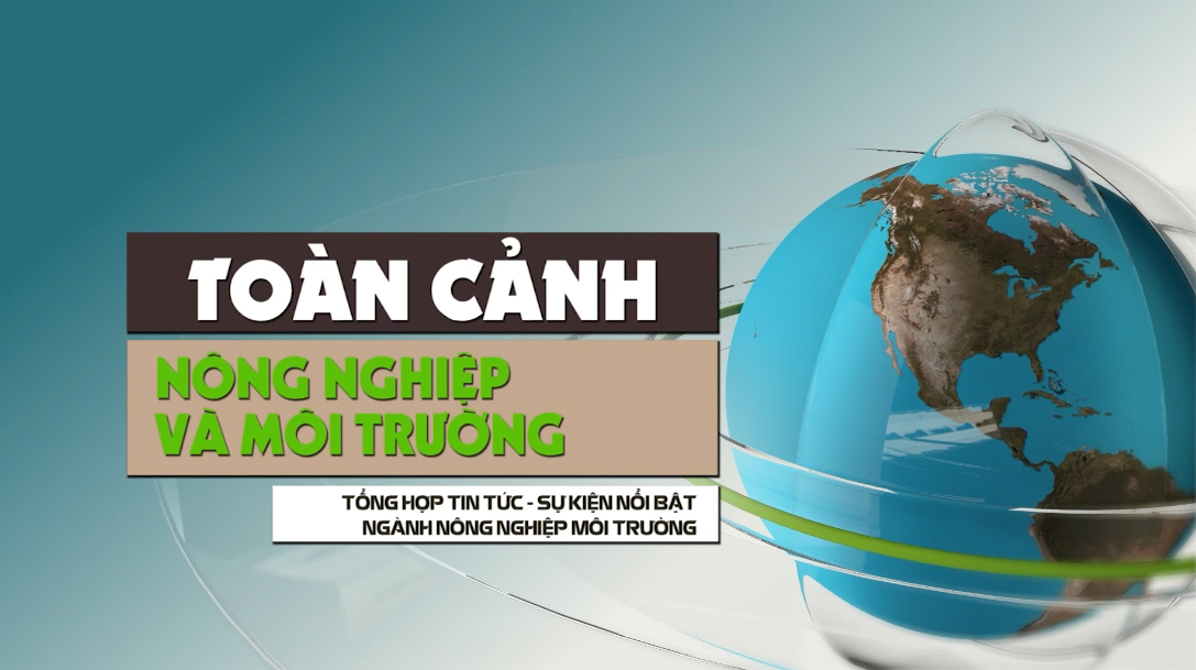Toàn cảnh Nông nghiệp và Môi trường tháng 3/2025 
